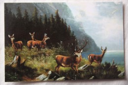 MULLER - Hunting - Deer - Modern Postcard - Mueller, August - Munich