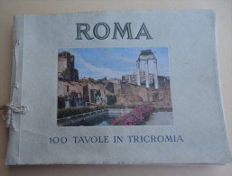 Editore Enrico Verdesi - ROMA - 100 Tavole In Tricromia / 100 Planches Photographies En Couleurs - Pictures