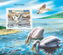 Maldives. 2014 Pelicans. (910b) - Pelikanen