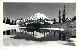 236001-Washington, Rainier National Park, RPPC, View From Chinook Pass, Ellis Photo No 551 - USA Nationalparks