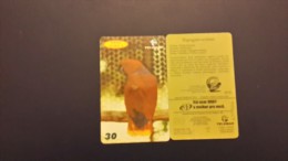 Brasil-serie Aves 2-papagaio-ecletus-5/10-used Card - Papegaaien & Parkieten