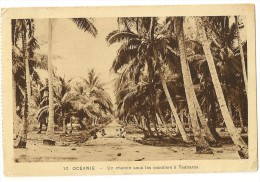 S2357 -10 Océanie - Un Chemin Sous Les Cocotiers à Teaharoa - Andere & Zonder Classificatie