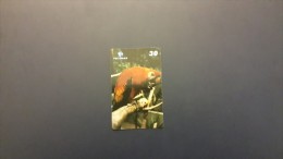 Brasil- ARARA VERMELHA-4/5-used Card+1card Prepiad Free - Parrots