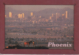 Phoenix - Nighttime Falls On Phoenix - Phoenix