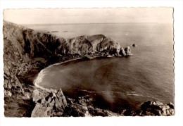 BAUMONT HAGUE  Le Nez De Jobourg   Carte En Très Bon état - Beaumont