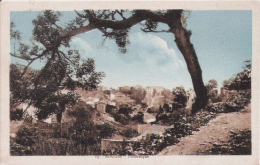 BOUGIE PITTORESQUE 13    1930 - Bejaia (Bougie)