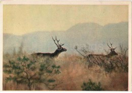 Bactrian Deer - Cervus Elaphus Bactrianus - 1958 - Tajikistan USSR - Unused - Tagikistan