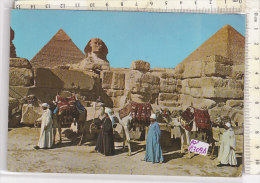 PO0310D# EGITTO - EGYPT - PIRAMIDE DI CHEOPE   VG - Gizeh