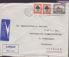 South Africa Par Avion By Airmail Per Lugpos Label ROYAL DANISH LEGATION, KAPSTAD Capetown 1950 Cover Brief (2 Scans) - Airmail