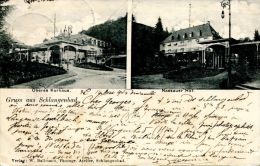 N°3031A -cpa Gruss Aus Schlangenbad - Schlangenbad