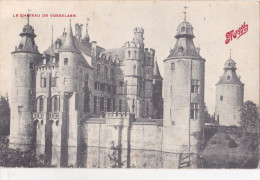 VOSSELAAR / VORSELAAR : Le Château - Vorselaar