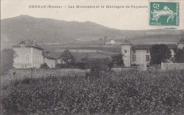 Chénas 69 - Vignobles Propriété Les Michelons - Chenas