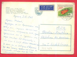 162727 / PAR AVION 1963  To BULGARIA - PRAHA - PRAGUE CASTLE , BRIDGE   - INSECT Czechoslovakia Tchecoslovaquie - Lettres & Documents