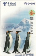 2-CARTES-PREPAYEES-2002-CHINA TELECOM-PINGUOINS-TBE - Pinguini