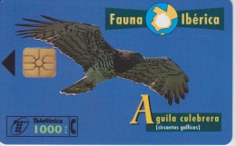 TELECARTE ESPAGNOLE :  OISEAUX RAPACES - Aigles & Rapaces Diurnes