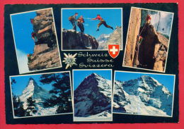 163007 / MONTAIN SPORT Climbing Escalade Bergsteigen - Switzerland Suisse Schweiz Zwitserland - Escalade
