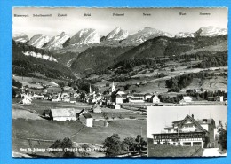 OV1213, Nesslau, Pension Grütli, Neu St.Johan, Churfirsten, Bühl, GF, No29201 Circulée 1967 - Nesslau