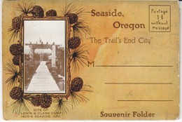 Seaside Oregon Postcard Folder, Various Scenes Hotels Street Scenes, C1900s/10s Vintage Postcard Souvenir Folder - Otros & Sin Clasificación