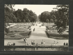 N*  BERLIN * TIERPARK BERLIN * SÜDPARTERRE MIT BLICK IN DIE HAUPTALLEE * 1965 **!! - Tiergarten