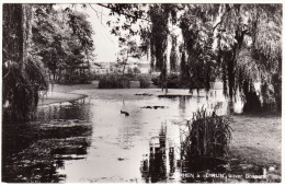 Alphen A. D. Rijn - Vijver Bospark      - Zuid-Holland/Nederland - Alphen A/d Rijn