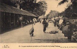 Marche De LUANG  PRABANG   Grue Sacree - Laos