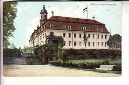 0-9387 NIEDERWIESA - LICHTENWALDE, Schloss Lichtenwalde, 1903 - Niederwiesa