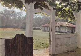 CPSM 40 @ Ferme Landaise - SABRES @ Airial De Marquèze - Parc Naturel Régional Des Landes De Gascogne - Sabres