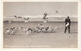 Seaside Oregon, Feeding Seagulls On The Beach, Man In Suit, C1940s Vintage Real Photo Postcard - Otros & Sin Clasificación