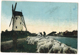 Paysage De Flandre 1915 - Damme