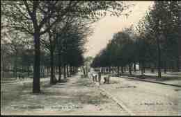 Bruxelles - Koekelberg : Avenue De La Liberté - Koekelberg