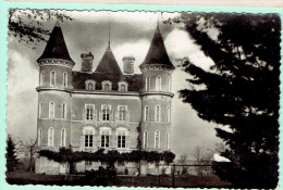 49- Montfaucon Sur Moine - Chateau De La Tour - Montfaucon