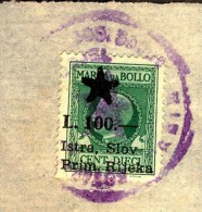 ITALIA - JUGOSLAVIA - SLOVENIA  - CERTIFICATO  POLICIA - PAZIN - ISTRIA - Bollo  L. 100 - Completo - 1946 - RARE - Fiscaux