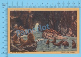 CPSM, Oregon ( Used In 1951 , Sea Lions Caves, Marcophilie ) Linen Postcard Recto/Verso - Otros & Sin Clasificación