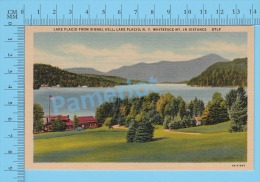 CPSM, New York   ( Lake Placid From Signal Hill, White Face Mountain In Distance ) Linen Postcard Recto/Verso - Adirondack