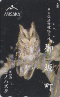 Télécarte Japon / 110-189909 - OISEAU - HIBOU CHOUETTE - OWL BIRD Japan Phonecard - EULE Vogel - 3879 - Hiboux & Chouettes