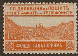 BULGARIA 1925 1l Special Delivery SG 268d HM ZU71 - Express Stamps