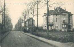 Bruxelles - Watermael - Avenue Leopold Wiener - Watermael-Boitsfort - Watermaal-Bosvoorde