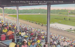 Maryland Hagerstown Horse Racing Hagerstown Race Track View From Dining Deck Of Club House - Hagerstown