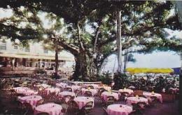 Hawaii Lanai Moana Hotels World Famous Banyan Court - Lanai