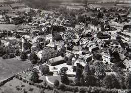 74  LA ROCHE SUR FORON Vue Aerienne Chateau De L'Echelle College Moderne Et Tour Des Capucins - La Roche-sur-Foron