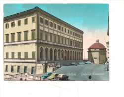 M2268 Lazio VELLETRI Roma Palazzo Comunale 1967 VIAGGIATA Acquarellata - Velletri