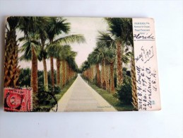 Carte Postale Ancienne : Palm Beach , Avenue To Ocean , Royal Poinciana Hotel, Stamp 1907 - Palm Beach