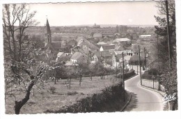 Orgeval   20162   Vue Génèrale - Orgeval