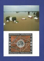 Vereinigte Nationen 1994 , International Decade For Natural Disaster -  Maximum Card - May 24.1994 -4 Scan - - Maximum Cards