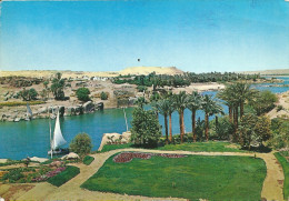 ASSOUAN  -  L'Ile      ELEPHANTINE - Aswan