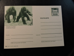 1970 Gorila  In Frankfurt Am Main Zoo Germany Postal Stationery - Gorilles