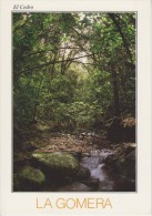 (AKO51) LA GOMERA. EL CEDRO - Gomera