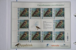 Persoonlijk Zegel Thema Birds Vogels Oiseaux Pájaro Sheet APPELVINK Hawfinch 2011-2014 Nederland - Ongebruikt
