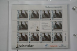 Persoonlijk Zegel Thema Birds Vogels Oiseaux Pájaro Sheet AALSCHOLVER Cormorant 2011-2014 Nederland - Ongebruikt