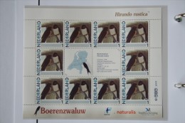 Persoonlijk Zegel Thema Birds Vogels Oiseaux Pájaro Sheet BOERENZWALUW  SWALLOW 2011-2014 Nederland - Ungebraucht